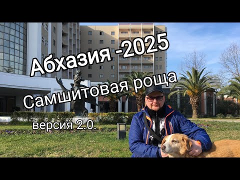 Видео: Абхазия 2025. Отдых в Самшитовой роще.