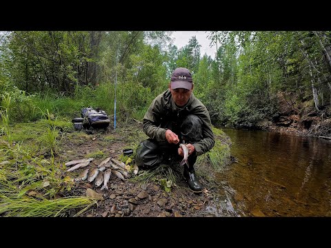 Видео: Хариус под пеной/Это что-то новое /Осенняя рыбалка на хариуса