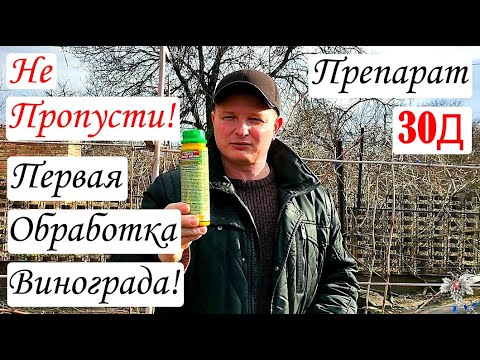 Видео: Не пропусти! Первая обработка винограда. Препарат 30Д