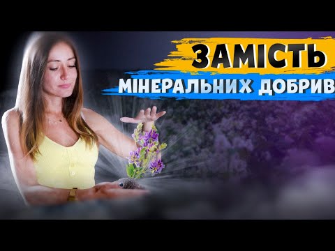 Видео: СИДЕРАТИ- ЗДОРОВИЙ І РОДЮЧИЙ ҐРУНТ