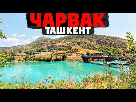 Видео: Ташкент 2025 | Чарвак и Ходжикент — горы, природа и настоящая узбекская кухня на свежем воздухе!
