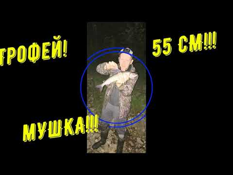 Видео: На рыбалку с Никитой Сергеевичем/Часть 2/Подъем по реке Ухта/2022год