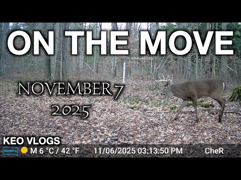 Видео: Играем в шахматы с Heavy Nine