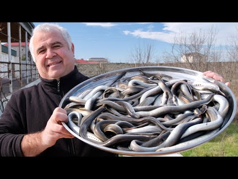 Видео: ШАШЛЫК из МИНОГ, СОЧНЕЙШИЙ и НЕЗАБЫВАЕМЫЙ.ENG SUB.