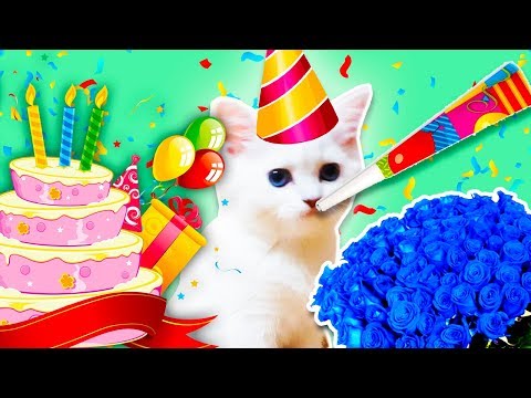 Видео: 24 ЧАСА !!!ДА!!! КОШКЕ ЭЛЬКЕ Устроили День Нашей Кошки на ее ДЕНЬ РОЖДЕНИЕ Заказали ТОРТ для КОШКИ!!