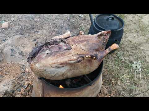 Видео: Ловим чира,готовим гуся,жарим грибы,находим бивни!