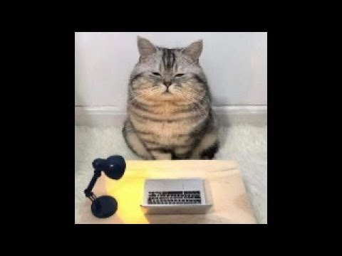 Видео: РАС\СДВГ