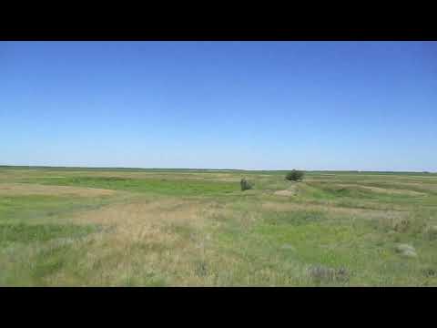 Видео: Опустевший хутор Новосельское (Сузаль). Марксовский район.