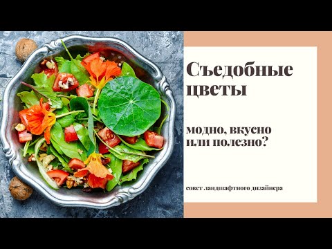 Видео: Cъедобные цветы. Модно, вкусно или полезно?