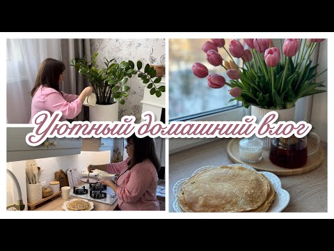 Видео: 🛍️WILDBERRIES - НАХОДКИ ДЛЯ СЕБЯ И ДОМА/ ПОРЯДОК В ХОЛОДИЛЬНИКЕ 🧼/ СЫРНЫЕ БЛИНИКИ 🥞/ ДЕЛА ПО СПИСКУ📋