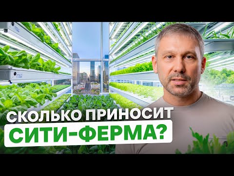 Видео: Как открыть сити-ферму и ЗАРАБАТЫВАТЬ круглый год? / Самый ПРИБЫЛЬНЫЙ бизнес в 2025 году!