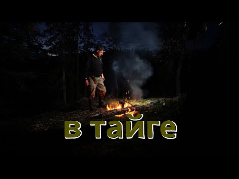 Видео: ОЗЕРО,ГДЕ ТОЛЬКО ЩУКА. ДВЕ НОЧИ В ТАЙГЕ. РЫБАЛКА.