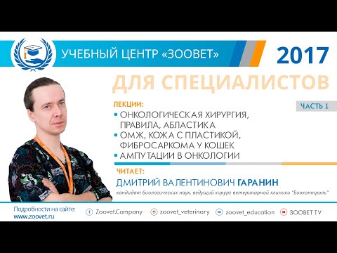 Видео: Д. В. Гаранин в УЦ ЗООВЕТ | Онкология мелких домашних животных. Часть 1/2