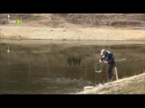Видео: Риболов на пъстърви с изкуствена муха - "Време за губене" - 22.04.2023 по БНТ