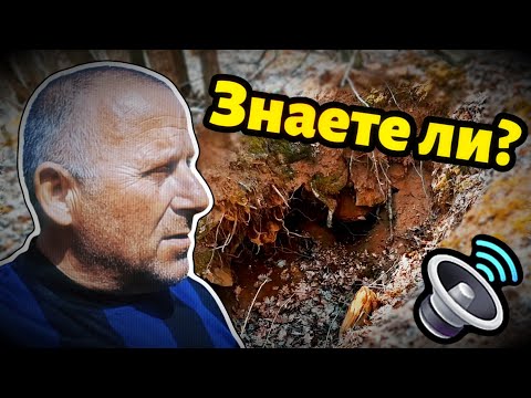 Видео: Легенда за ЗЛАТНА КОЛЕСНИЦА до с.ЖЕЛЕЗАРЦИ | Къде се намира и още..