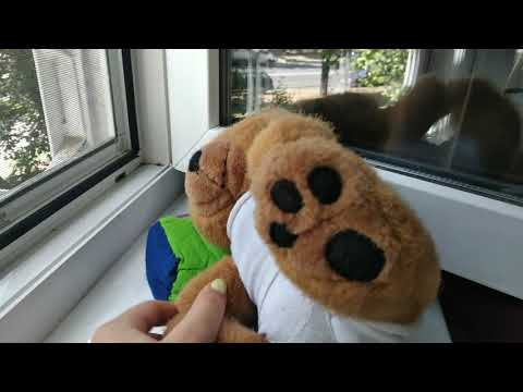 Видео: Целый день с мишками🐻☀️