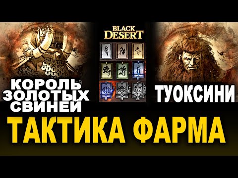 Видео: ТАКТИКА: ТУОКСИНИ и КОРОЛЬ ЗОЛОТЫХ СВИНЕЙ. Фарм боссов в BDO (Black Desert)