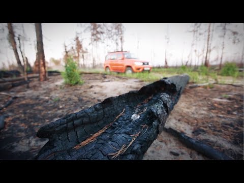 Видео: Рязанская область | Выходные на колесах