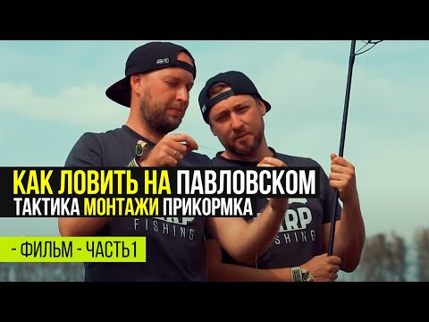 Видео: КАРПФИШИНГ НА ВОДОЕМЕ ПАВЛОВСКИЙ. ТАКТИКА ЛОВЛИ КАРПА И РАБОЧИЕ МОНТАЖИ. ЧАСТЬ 1