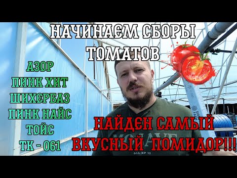 Видео: Начинаем сборы, есть лидер!  Результаты опыта со СТАРТЕКО