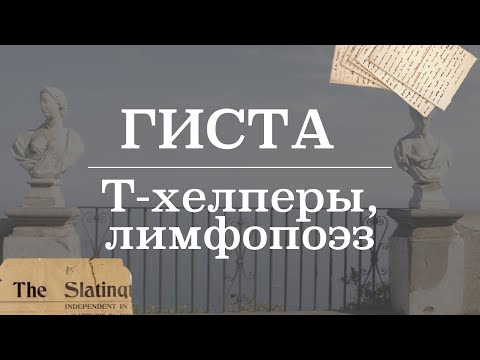 Видео: Т-хелперы (механизм действия, лимфопоэз, дифференцировка лимфоцитов) | Гистология