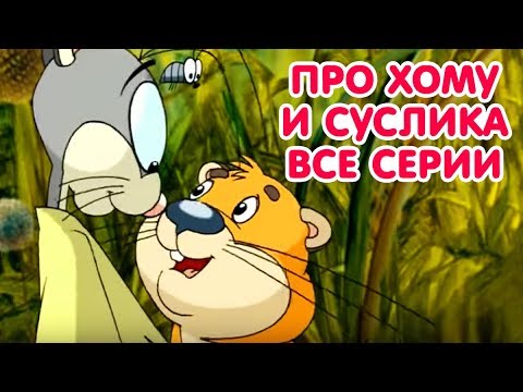 Видео: Удивительные приключения Хомы все серии подряд | Мультфильмы для детей