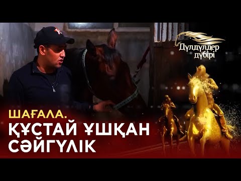 Видео: Шағала. Құстай ұшқан сәйгүлік.«Дүлдүлдер дүбірі». Бәйге.