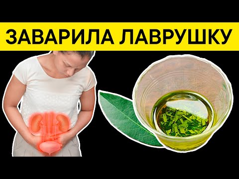 Видео: Просто заварила ЛАВРОВЫЙ ЛИСТ и ИЗБАВИЛАСЬ от 9 недугов!!!