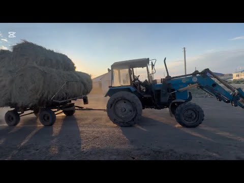 Видео: Аул вместо города: молодые казахи возвращаются к корням. Kazakh family 