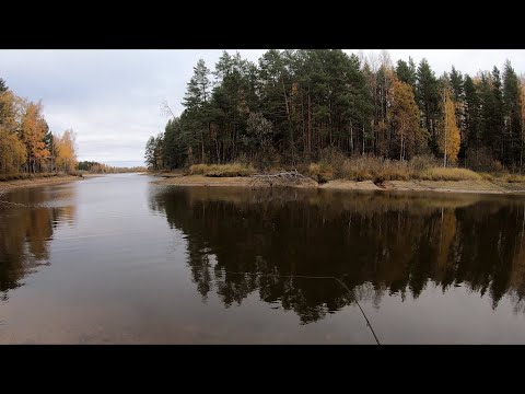 Видео: Поиск щуки по малым рекам | Браконьерские сети | Тайга осень