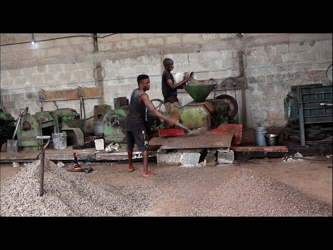 Видео: Мини-завод по переработке пальмоядрового масла в Нигерии