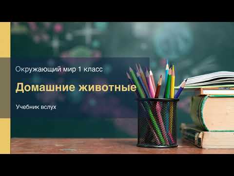 Видео: "Домашние животные", Окружающий мир 1 класс, с.90-93, Планета знаний.