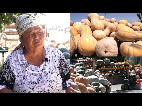 Видео: 60 КГ 😱 || Мындай АШКАБАКТЫ көрө элексиз