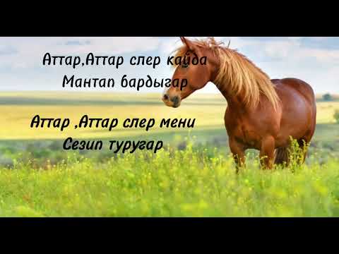 Видео: Текст песни "Аттар аттар" Алексей Тазранов