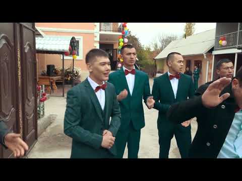 Видео: Той 1