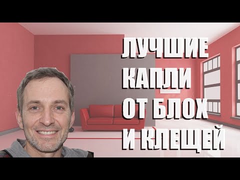 Видео: Лучшие капли от блох и клещей - рейтинг 2023 года