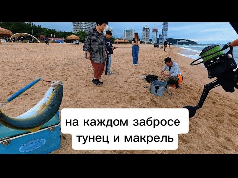Видео: Устал тягать рыбу, на пилькир одна за другой клюет. рыбалка в Южной Корее, тунец и Макрель.#рыбалка 