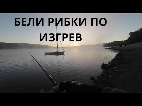 Видео: СУТРЕШНИ БЕЛИ РИБИ