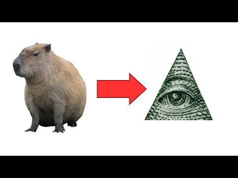 Видео: Капибара - это иллюминат