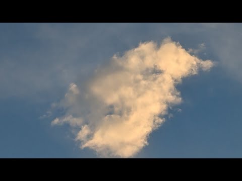 Видео: События ,о которых вы не знаете 