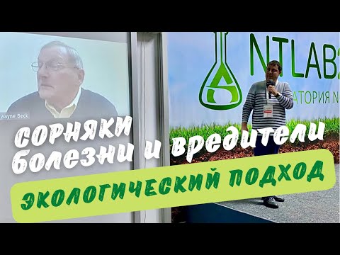 Видео: Борьба с сорняками, болезнями и насекомыми с помощью экологического подхода