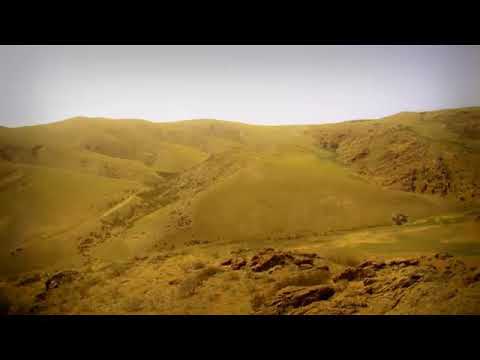 Видео: Айбек Бекбосын – Тарбағатай