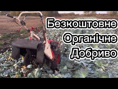 Видео: Японська фреза рубає біомасу з капусти!