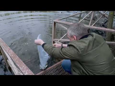 Видео: ВЕСНА 2023 Луховицы