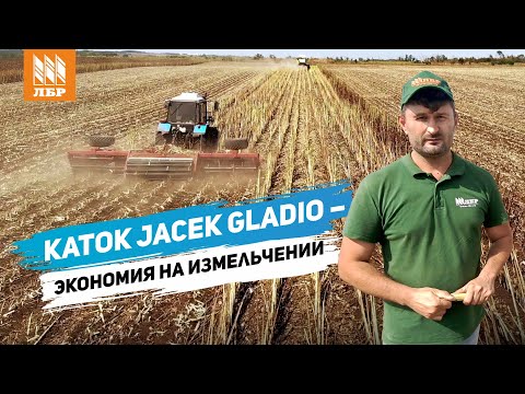 Видео: Обработка стерни подсолнечника катком-измельчителем