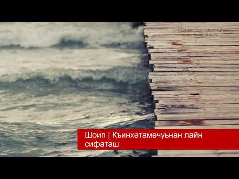 Видео: Шо1ип: Хьайгахь дуй хьажа х1ара сифаташ