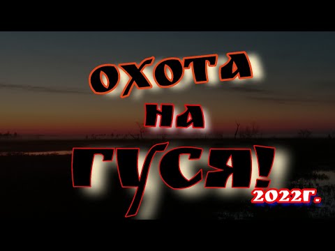 Видео: Весенняя охота на гуся!ХМАО-Югра