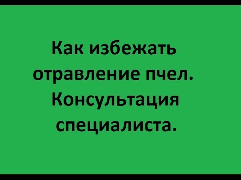 Видео: Как избежать отравления пчел. Консультация специалиста