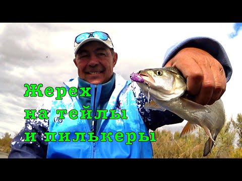Видео: Волжский ЖЕРЕХ и СЕЛЕДКА. Мастер-класс ловли на нытьё.