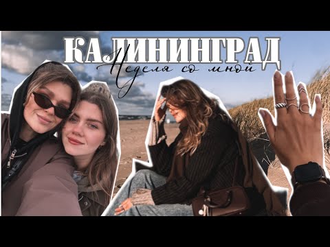 Видео: VLOG|Калининград|Обзор квартиры в Зеленоградске|Самые вкусные места🤌🏽🌊Светлогорск|Где вкусно поесть?